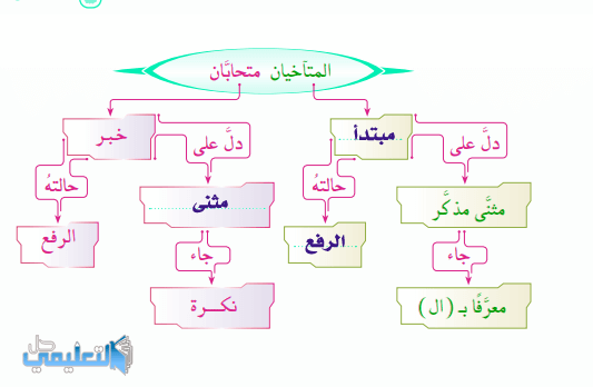 المسلم اخو المسلم اعراب كلمة اخو