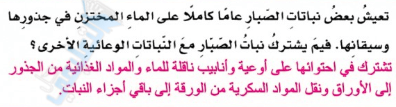 فيم يشترك نبات الصبار مع النباتات الوعائية الاخرى