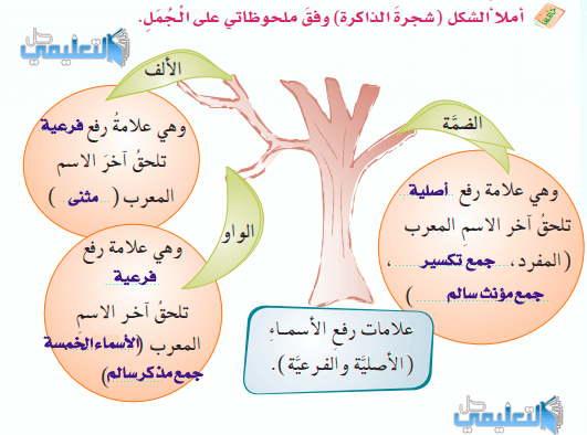 والخبر العلامات الفرعيه للمبتدا ما هي